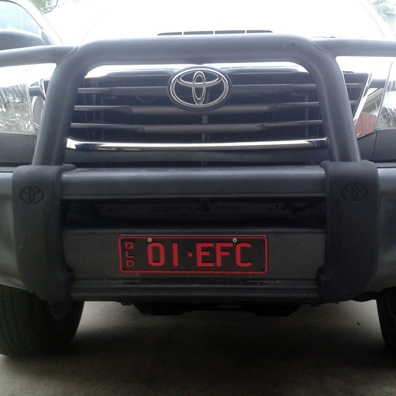 zefc01.jpg